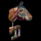 /album/fotogaleria-novedades/horse137-png/