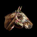 /album/fotogaleria-novedades/horse138-png/