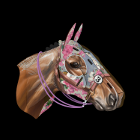 /album/fotogaleria-novedades/horse140-png/