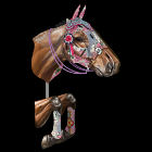 /album/fotogaleria-novedades/horse141-png/